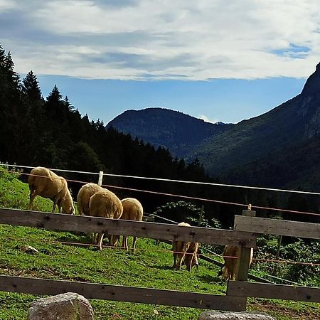 Agriturismo Maso Pertener -Adults Friendly- Comano Terme Exterior foto